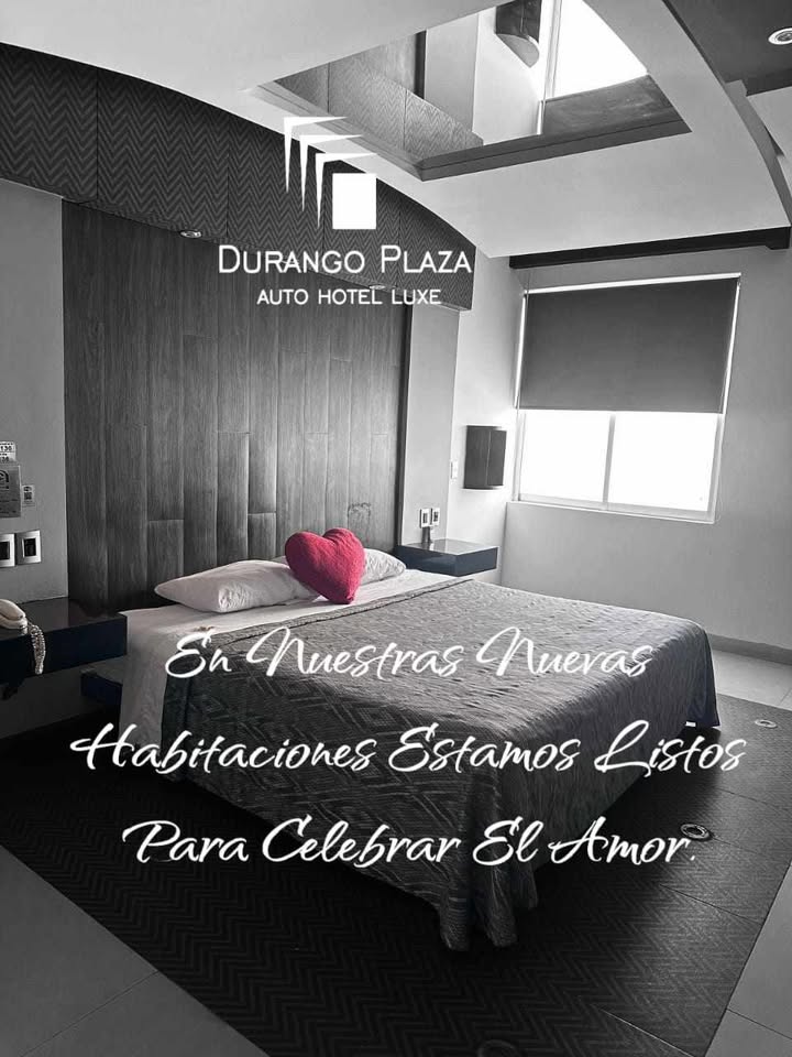 Vista 9 de Durango Plaza